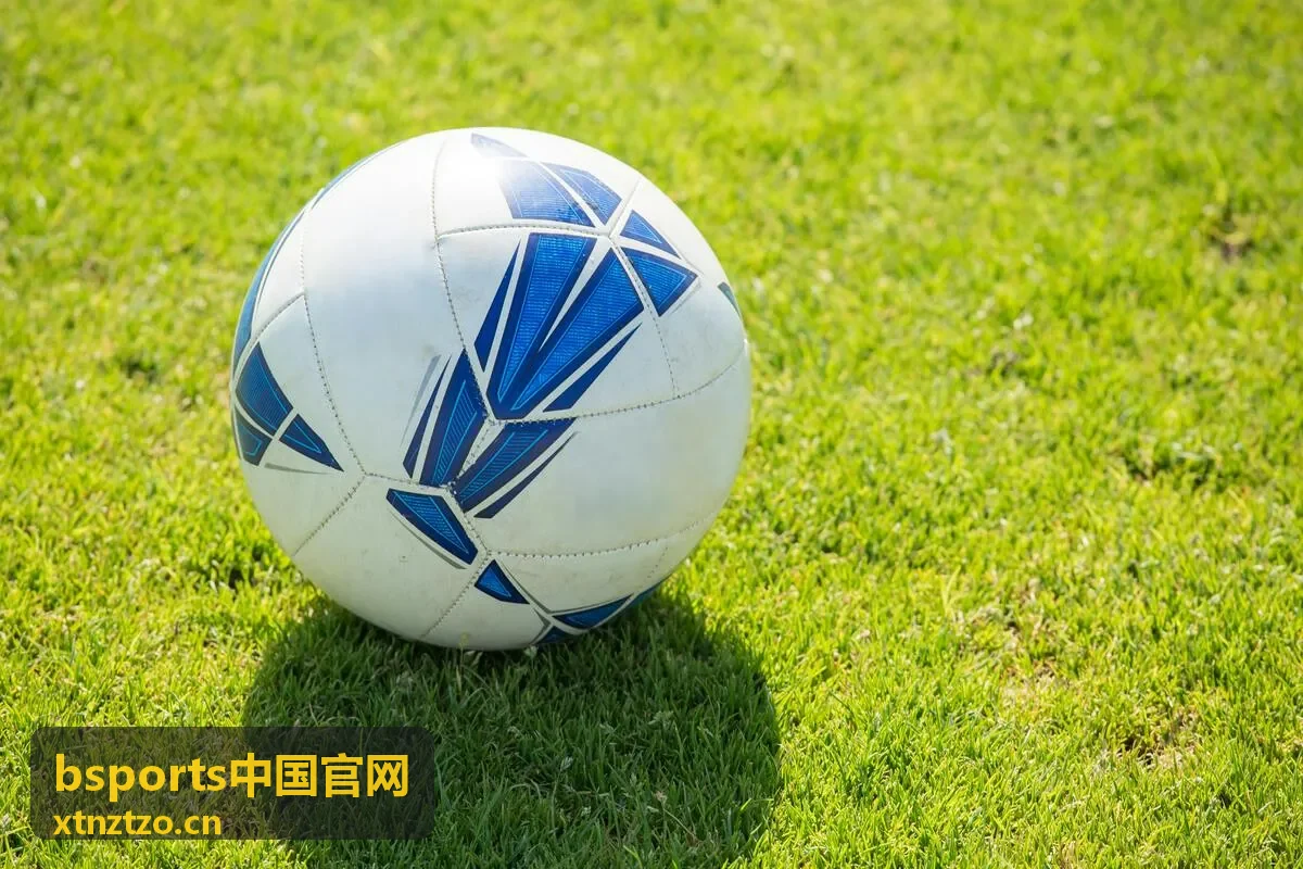 bsports中国官网赛事现场动态记录，足球赛场画面